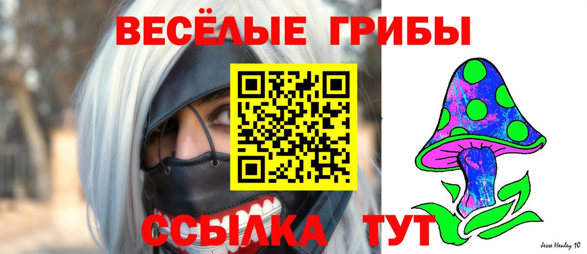 Орёл  Галлюциногенные грибы Psilocybe  Вход с VPN 