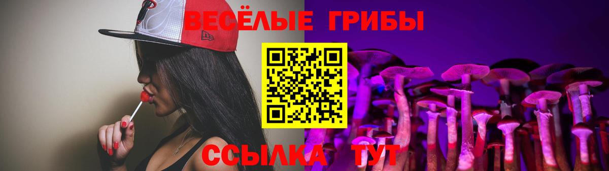 Галлюциногенные грибы мухоморы Орёл